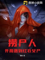 北宋穿越指南停更了吗
