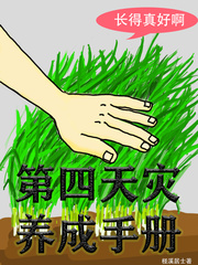 夜染音封九宸是什么小说